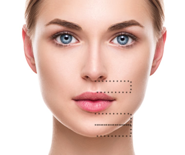 理想的な人中（1：2比率）