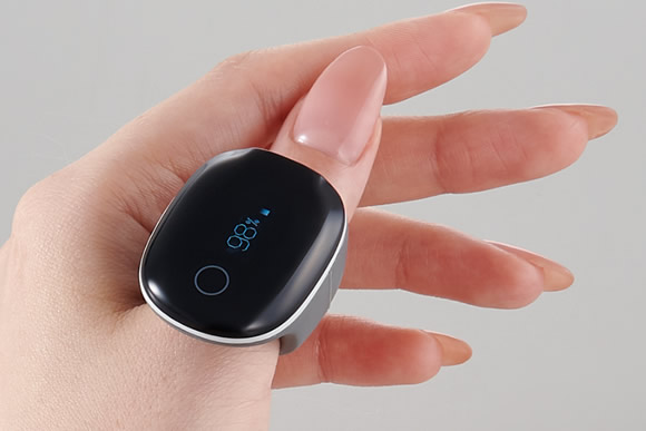 チェックミーリング