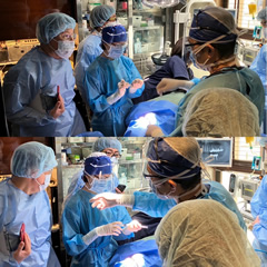 サイナスリフトラテラルアプローチライブオペコース