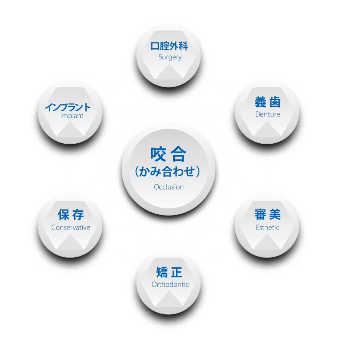 咬み合わせ中心の診療